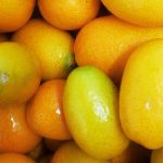 armellata Extra di Kumquat o Mandarino Cinese con pezzi di frutta 2
