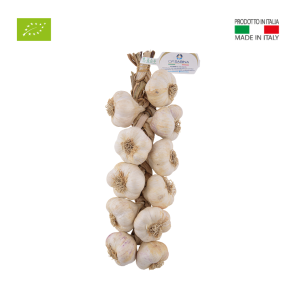Treccia d'aglio biologico italiano 12 teste